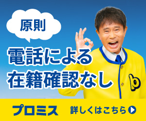 プロミスのランキングバナー